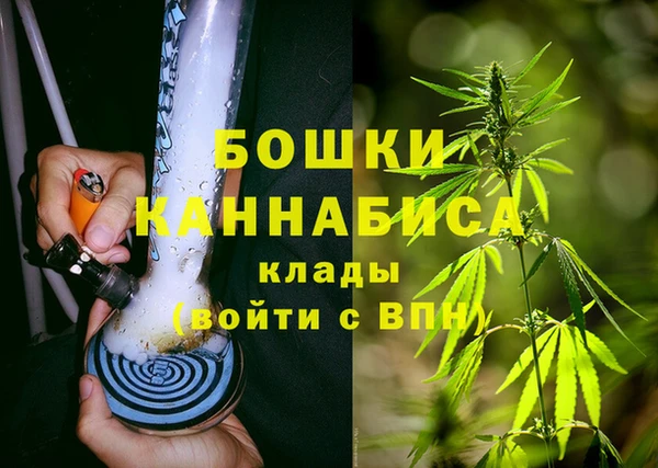 прущие грибы Ладушкин