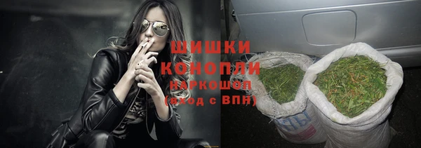 прущие грибы Ладушкин