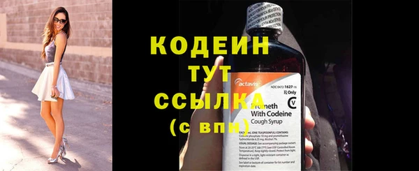 прущие грибы Ладушкин