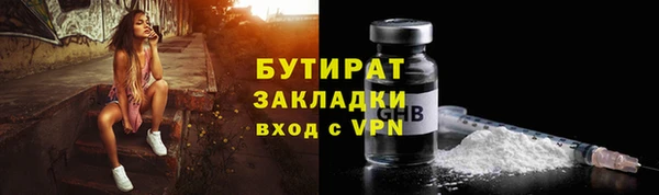 прущие грибы Ладушкин