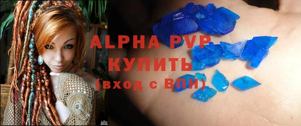 прущие грибы Ладушкин