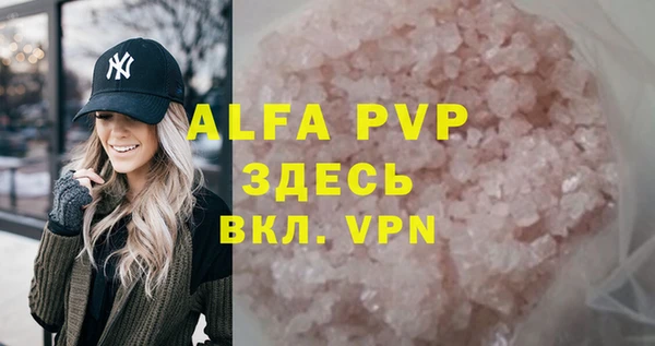 прущие грибы Ладушкин