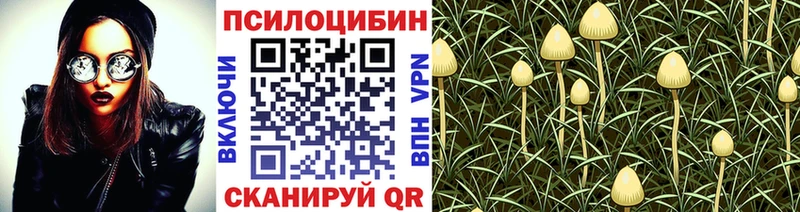 Галлюциногенные грибы GOLDEN TEACHER  Новая Усмань 